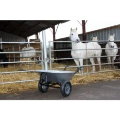 Brouette Haemmerlin EXPERT TWIN Premium 150 L Galva à Roues Gonflées - 306015201 -Promos Jardin Moteur Magasin AFD 114966