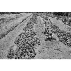 Motobineuse Thermique 4,4kW Stihl MH 600 - 6250-011-3915 -Promos Jardin Moteur Magasin AFD 160916