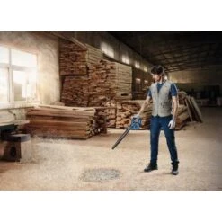 Souffleur 18 V Bosch GBL 18V-120 (sans Batterie Ni Chargeur) En Boîte Carton - 06019F5100 -Promos Jardin Moteur Magasin AFD 82016