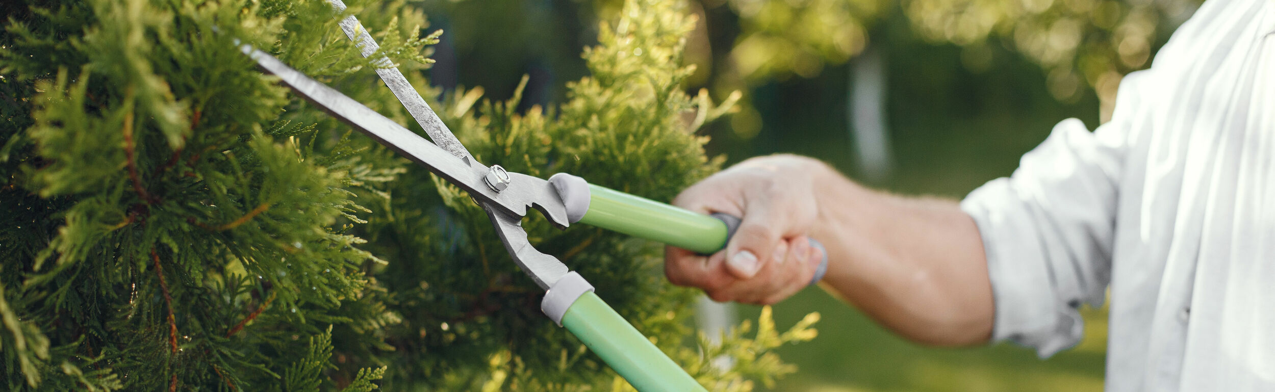 Promos Jardin Moteur Magasin -Promos Jardin Moteur Magasin 222