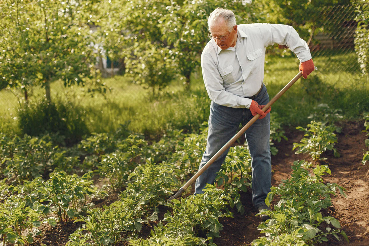 Promos Jardin Moteur Magasin -Promos Jardin Moteur Magasin elderly man using garden tools